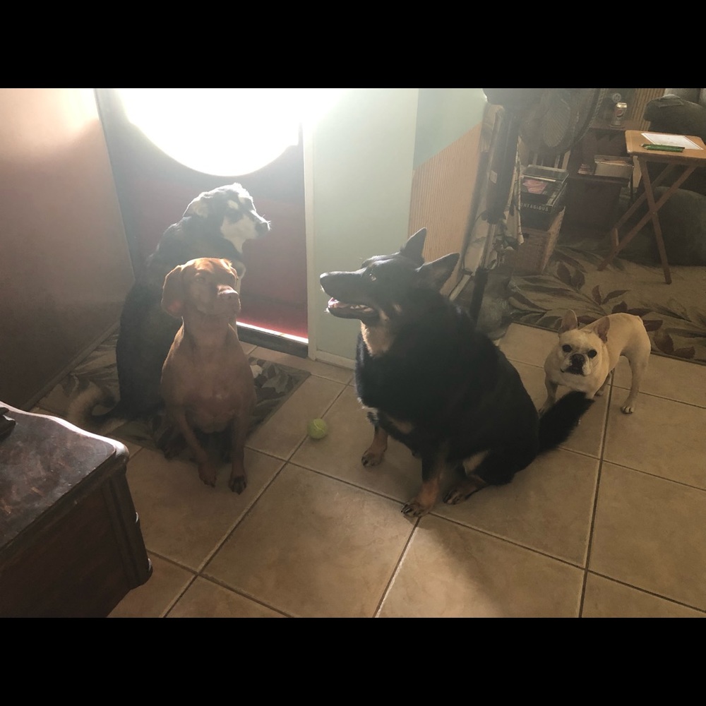 Meet your Posher, Carol